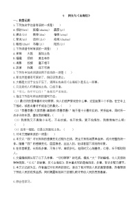 人教部编版七年级下册10 阿长与《山海经》同步训练题