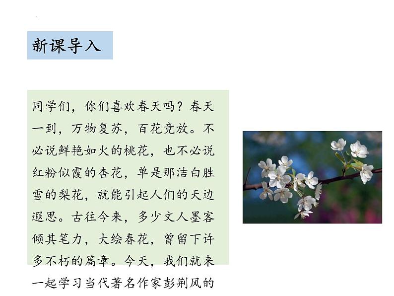 第15课《驿路梨花》课件（27张PPT）2021-2022学年部编版语文七年级下册第3页