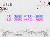 第24课《石壕吏》《茅屋为秋风所破歌》-2021-2022学年部编版语文八年级下册课件PPT