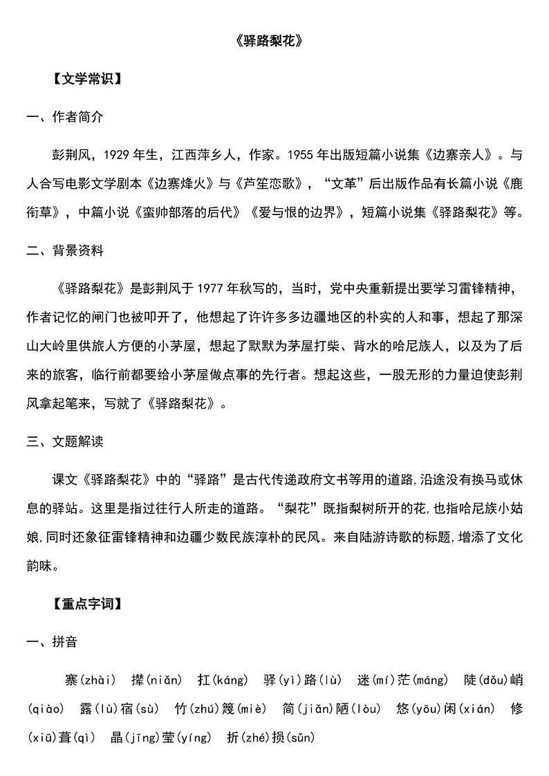 《驿路梨花》专项复习重要考点整理第1页