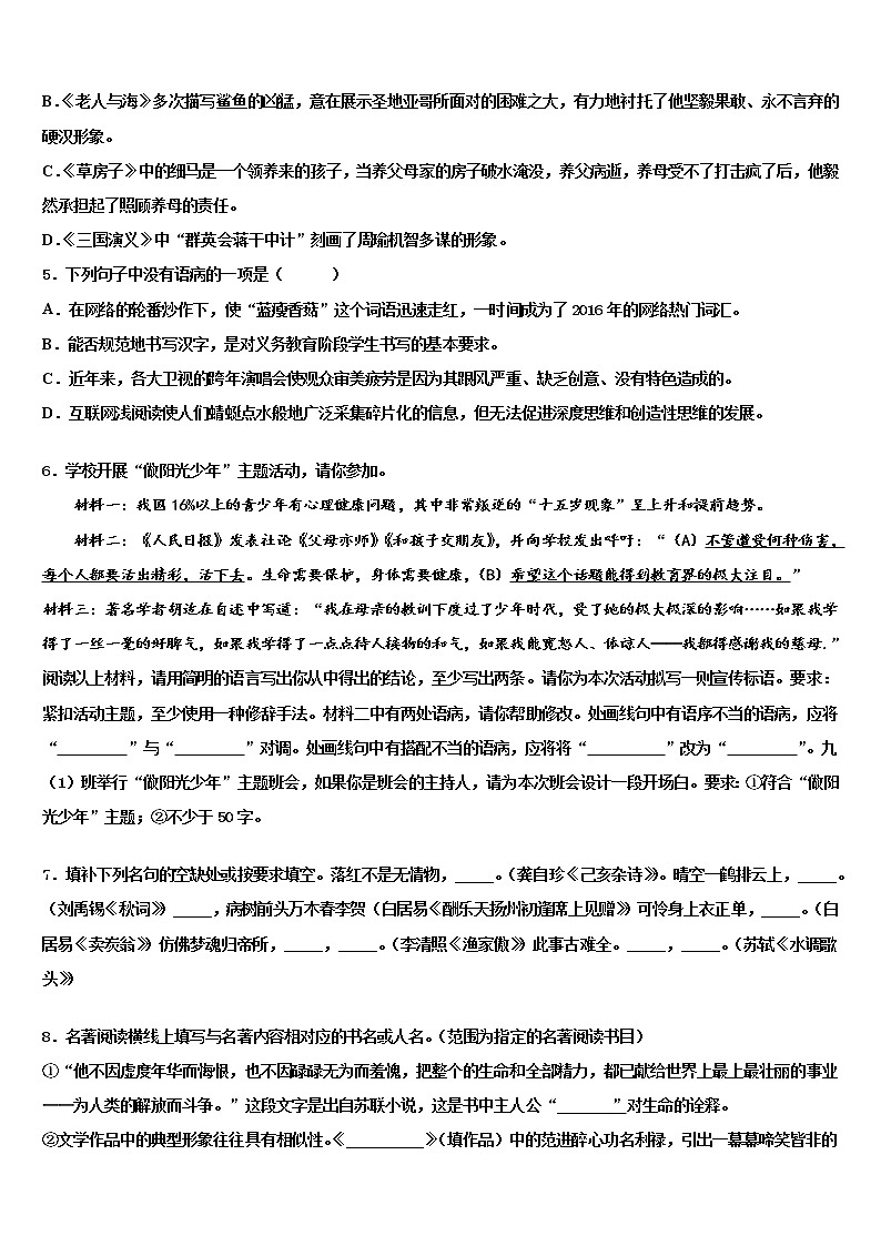 2021-2022学年湖南省邵阳市郊区重点中学中考语文五模试卷含解析第2页