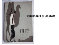 语文名著导读  名著导读 《骆驼祥子》：圈点与批注课文配套ppt课件