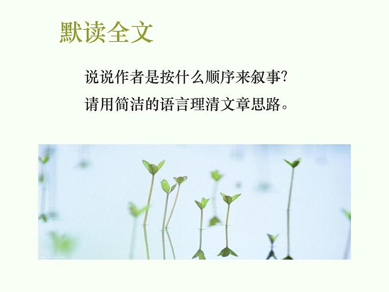 6藤野先生课件第5页