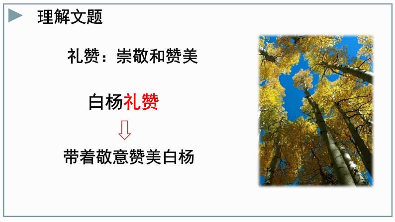 15白杨礼赞课件PPT第5页