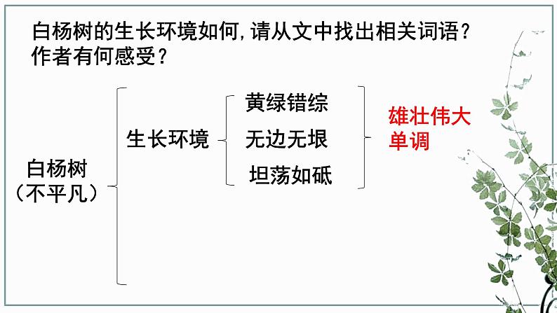 15白杨礼赞课件PPT第8页