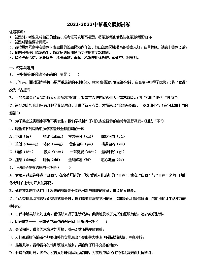 2021-2022学年山东省枣庄市四十一中中考语文考试模拟冲刺卷含解析01