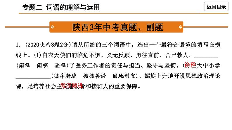 中考语文复习----词语的理解与运用课件PPT第2页