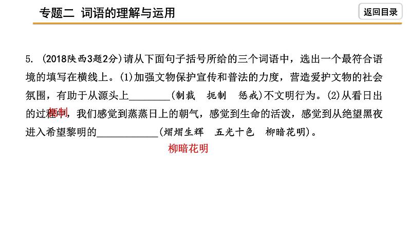 中考语文复习----词语的理解与运用课件PPT第6页