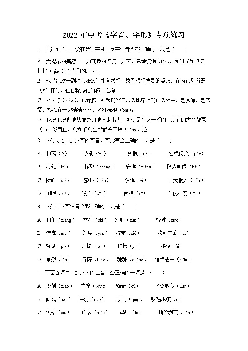 2022年中考语文二轮专题练习《字音字形》第1页