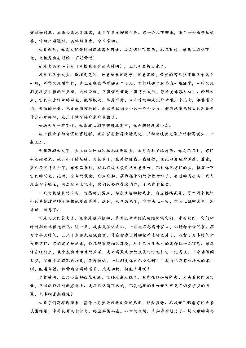 2022届中考语文文学类文本阅读专项培优卷（2）第3页