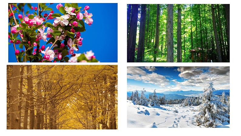 2022年中考语文写作训练-让景物描写生动起来课件（共20页）第2页