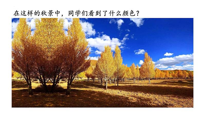 2022年中考语文写作训练-让景物描写生动起来课件（共20页）第5页