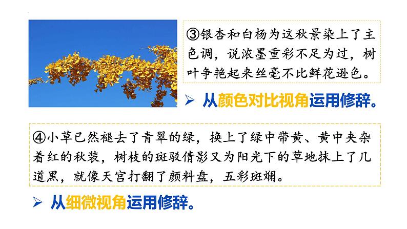 2022年中考语文写作训练-让景物描写生动起来课件（共20页）第7页