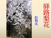 初中15 驿路梨花教案配套课件ppt
