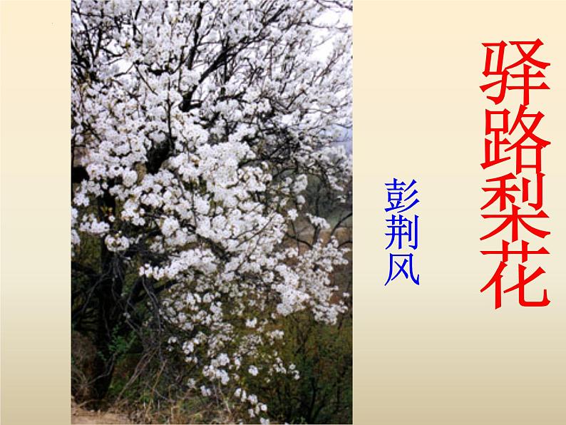 第15课《驿路梨花》课件部编版语文七年级下册第1页