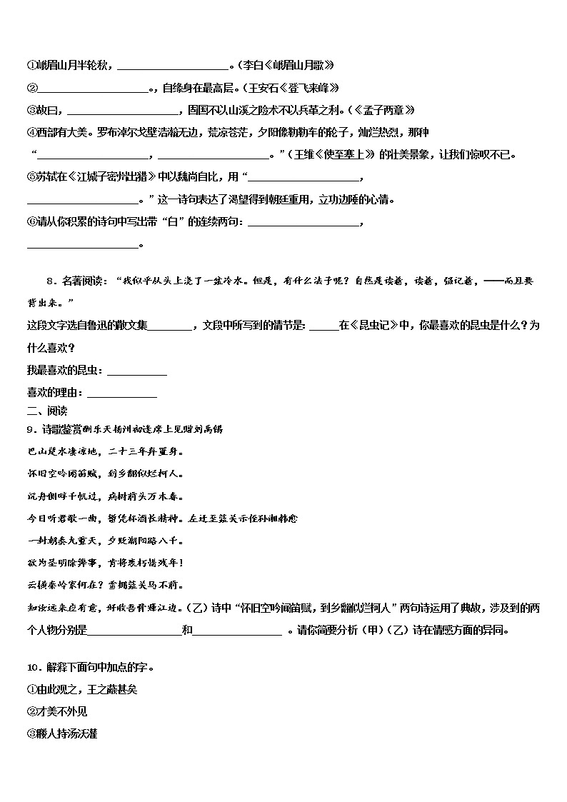 上海市黄埔区2021-2022学年初中语文毕业考试模拟冲刺卷含解析03