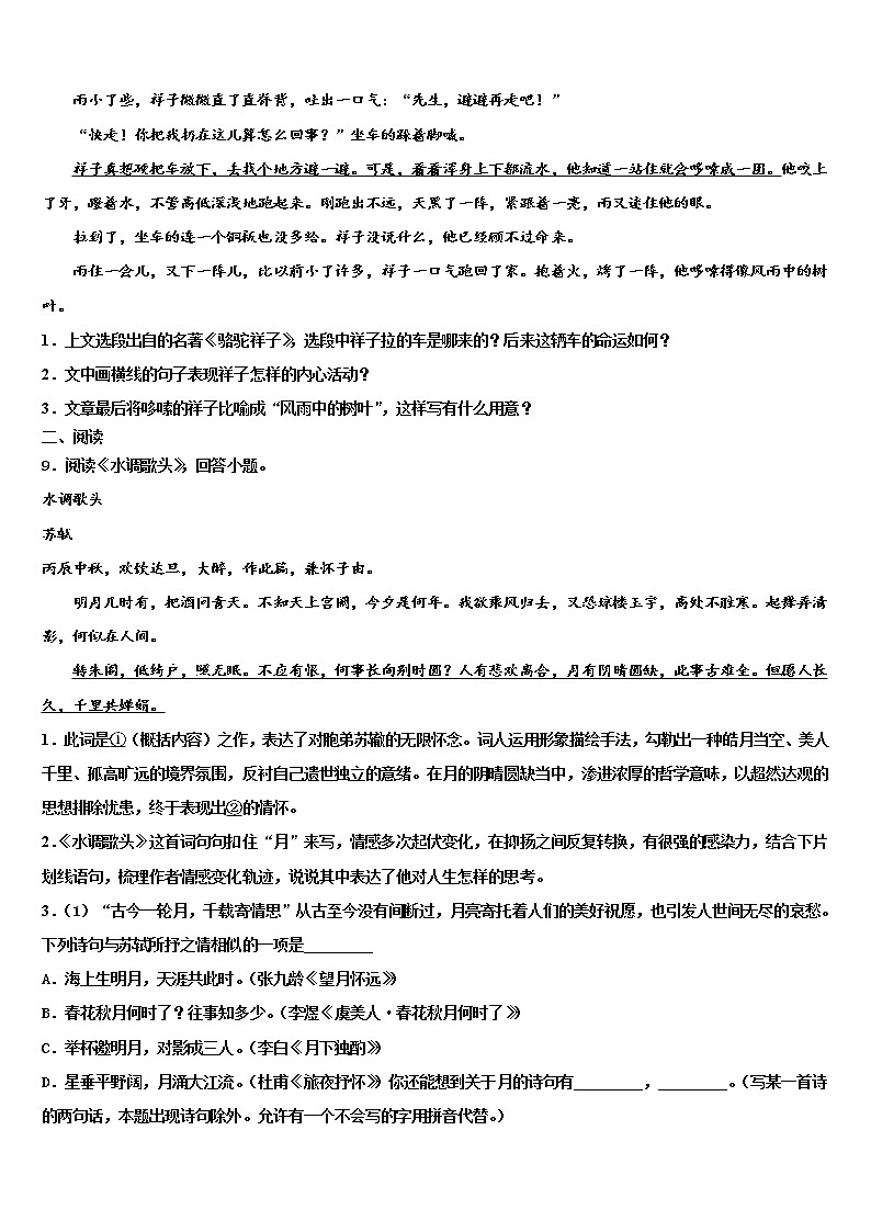 陕西省西安市陕师大附中2021-2022学年中考语文仿真试卷含解析第3页