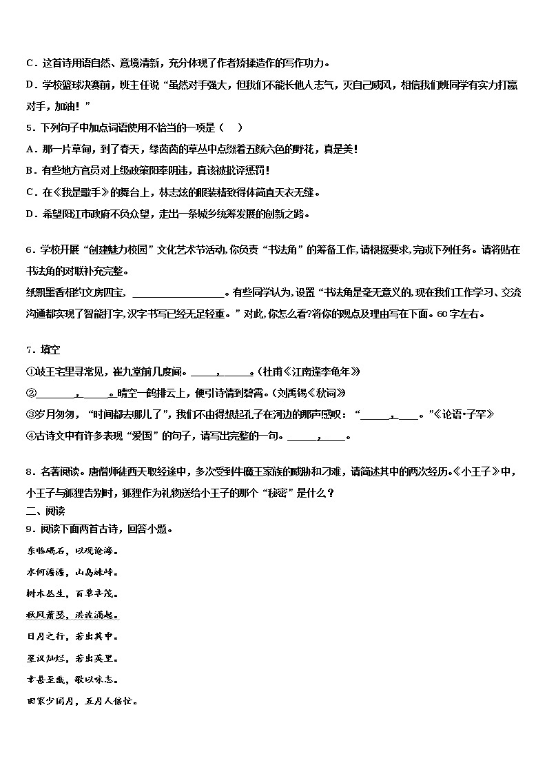 山东省临沂兰陵县联考2021-2022学年中考适应性考试语文试题含解析02