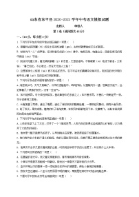 精品解析：2021年山东省泰安市东平县实验中学中考二模语文试题（解析版+原卷板）