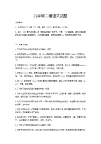 2021年山东省新泰市羊流镇初级中学九年级语文中考二模试题及答案