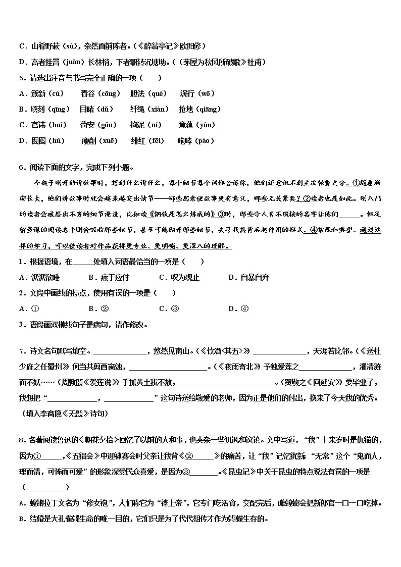 浙江省温州市苍南县市级名校2022年中考语文模试卷含解析02