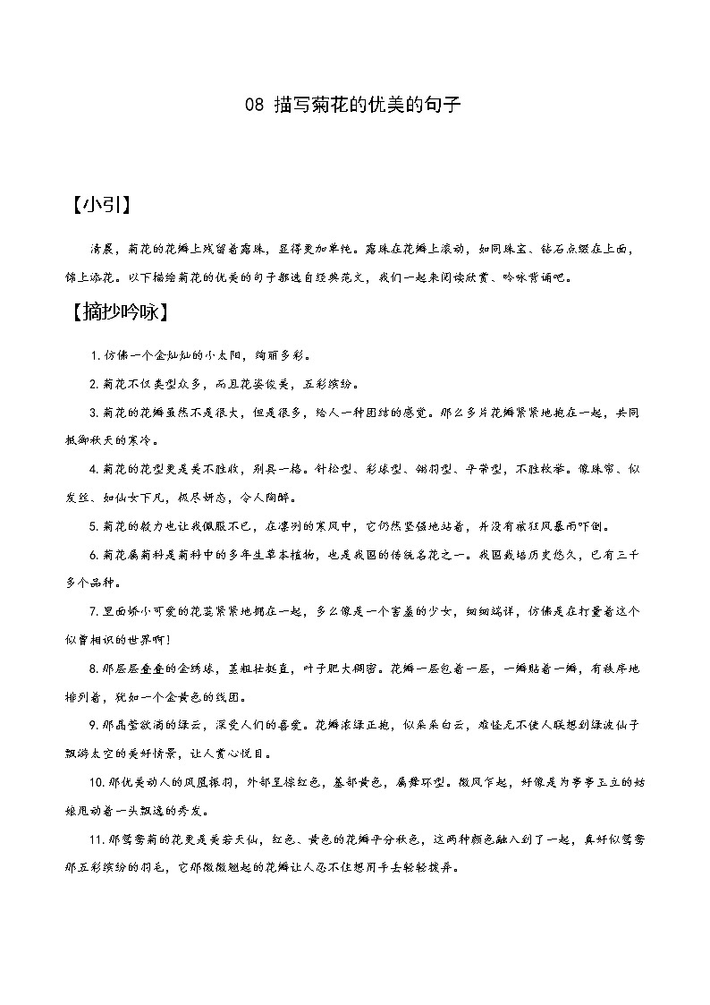 08 菊花-备战2022年中考作文写景优美句子摘抄01