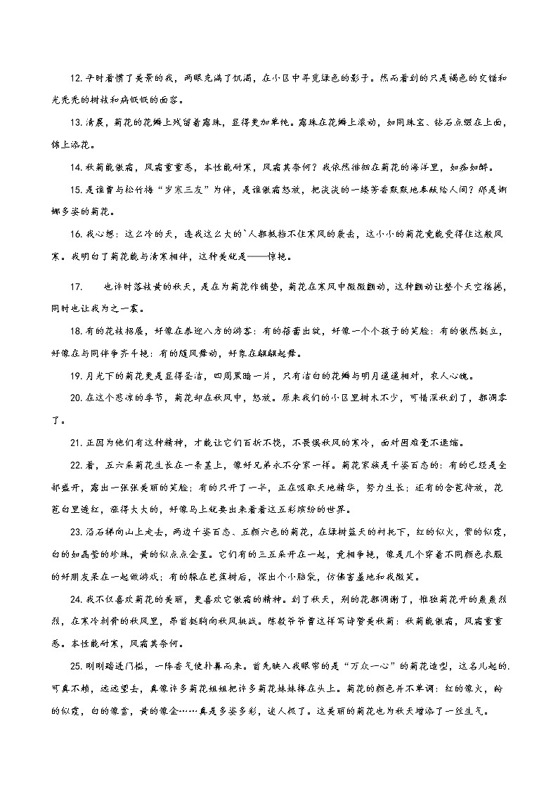 08 菊花-备战2022年中考作文写景优美句子摘抄02
