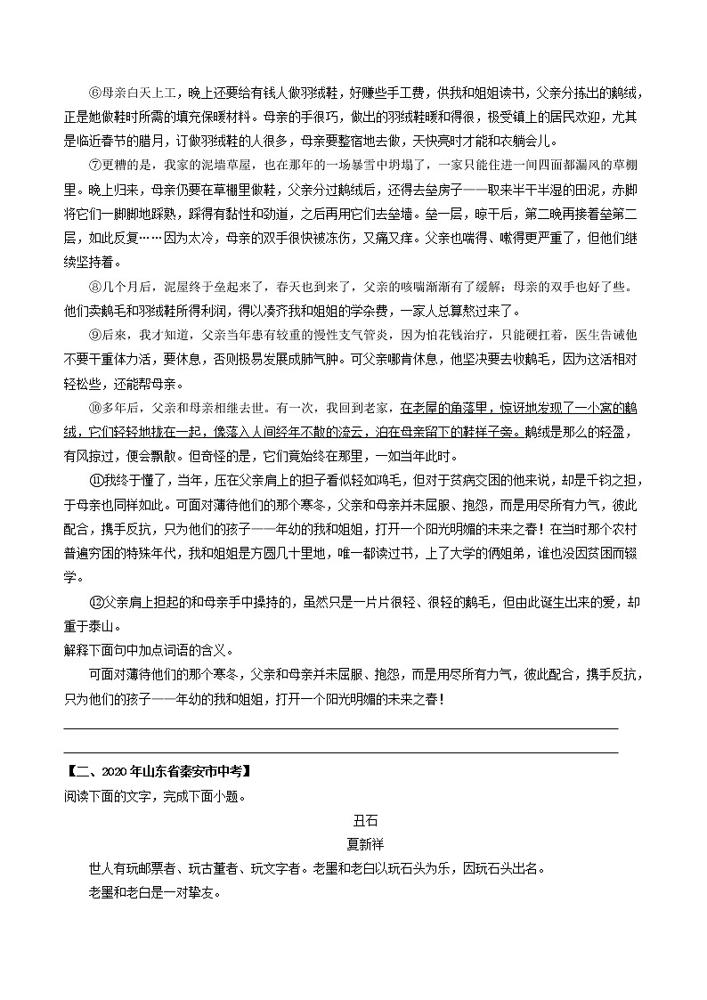 专题07 小说词语含义-2022年中考语文考前抓大分技法之小说阅读02