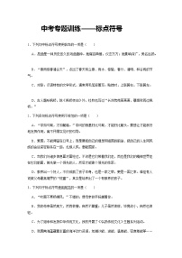2022年中考二轮专题训练：标点符号