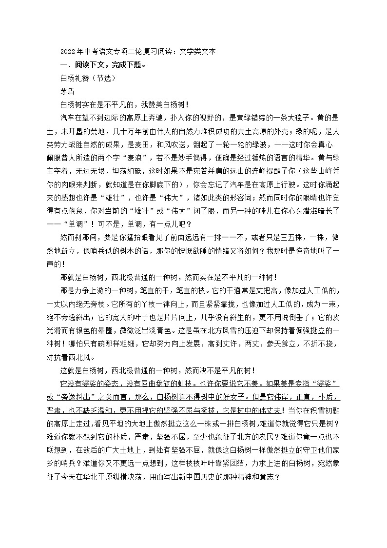2022年中考语文专项二轮复习阅读：文学类文本第1页