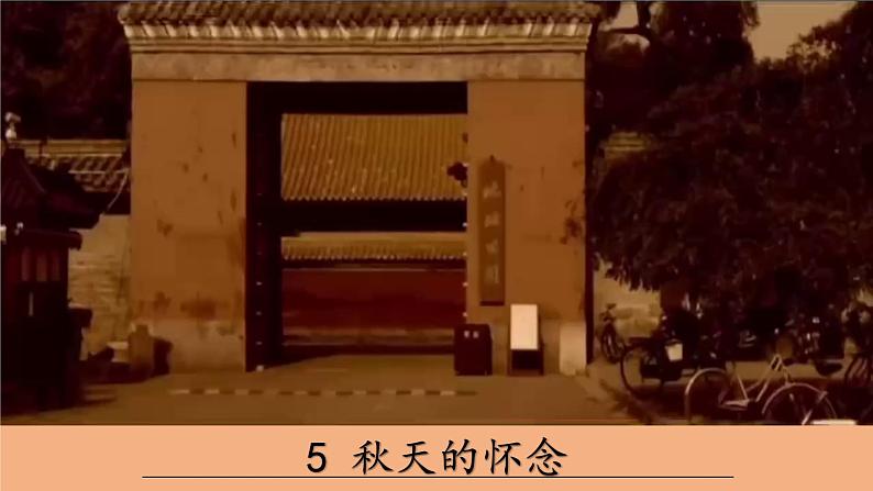 《秋天的怀念》课件PPT01