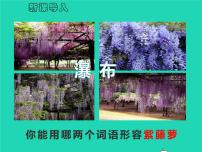 初中语文人教部编版七年级下册18 紫藤萝瀑布教学课件ppt