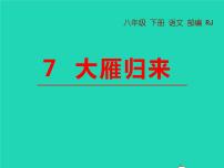 初中语文人教部编版八年级下册大雁归来教学课件ppt