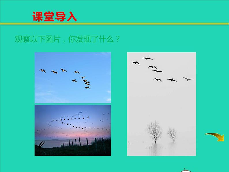 八年级语文下册第二单元7大雁归来教学课件新人教版第2页