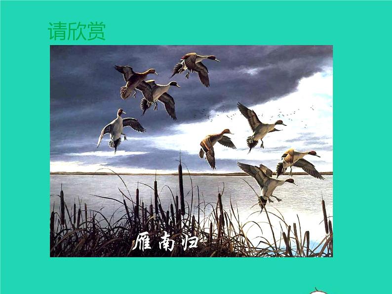 八年级语文下册第二单元7大雁归来教学课件新人教版第4页