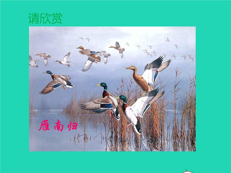 八年级语文下册第二单元7大雁归来教学课件新人教版第5页