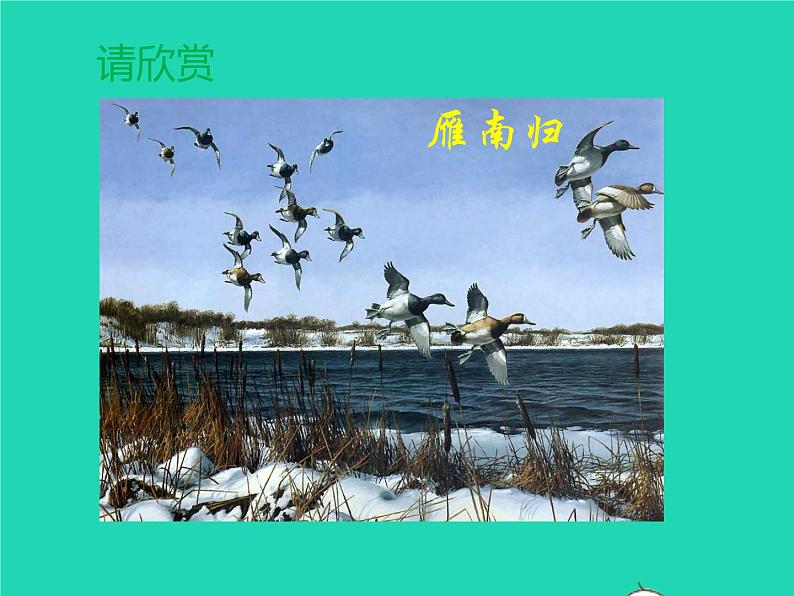 八年级语文下册第二单元7大雁归来教学课件新人教版第6页