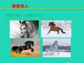 八年级语文下册第六单元23马说教学课件新人教版