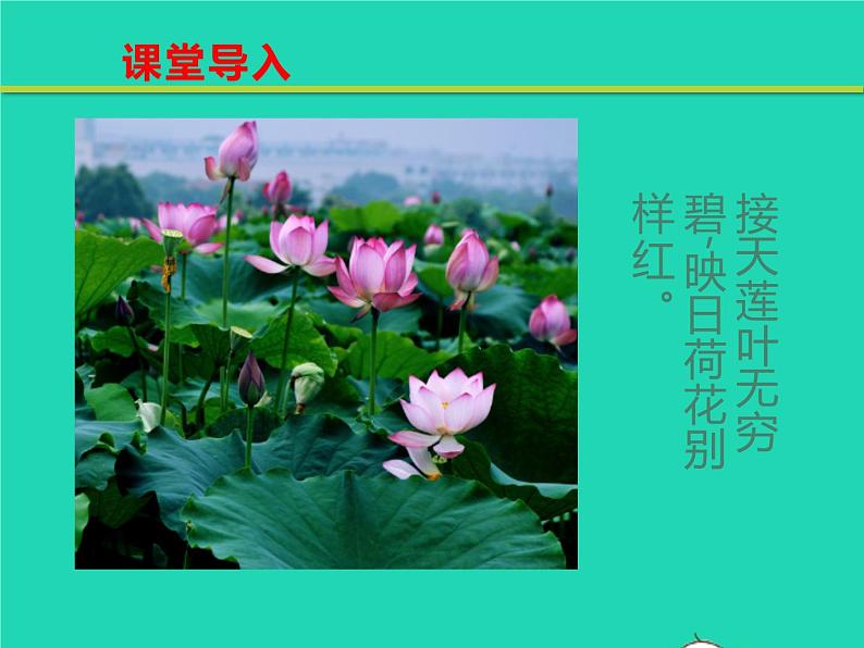 八年级语文下册第二单元5大自然的语言教学课件新人教版第3页