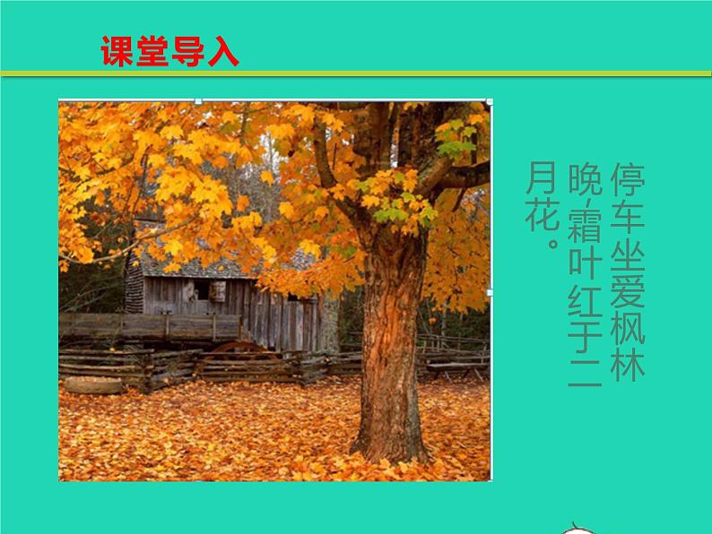 八年级语文下册第二单元5大自然的语言教学课件新人教版第4页