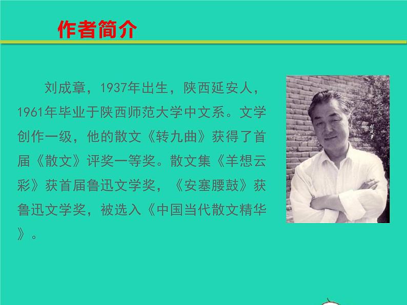 八年级语文下册第一单元3安塞腰鼓教学课件新人教版第5页
