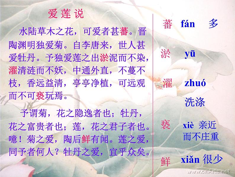 第17课《爱莲说》课件2021-2022学年部编版语文七年级下册第5页