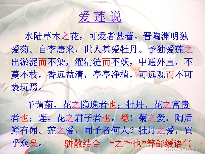 第17课《爱莲说》课件2021-2022学年部编版语文七年级下册第6页