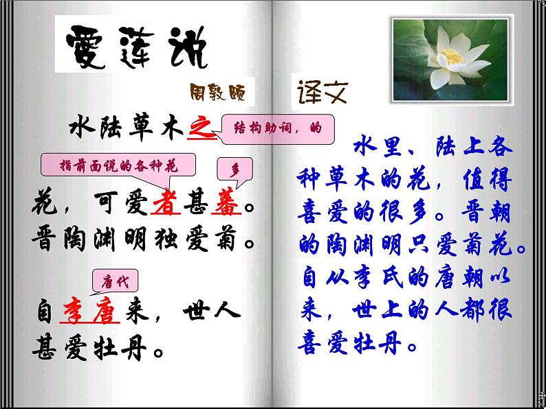第17课《爱莲说》课件2021-2022学年部编版语文七年级下册第7页