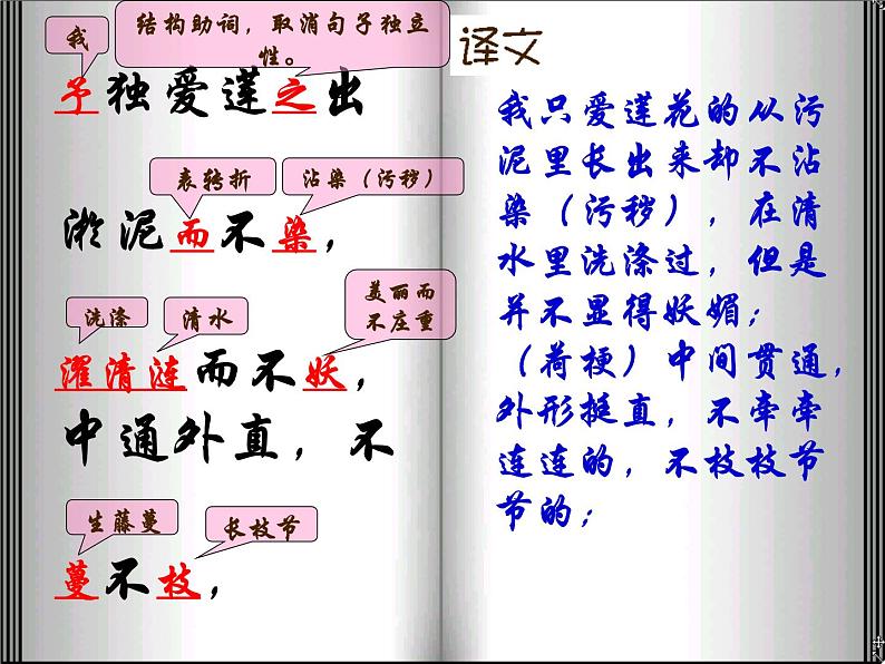 第17课《爱莲说》课件2021-2022学年部编版语文七年级下册第8页