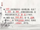 第12课《诗经二首——蒹葭》课件（共15张PPT）2021—2022学年部编版语文八年级下册