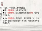 第12课《诗经二首——蒹葭》课件（共15张PPT）2021—2022学年部编版语文八年级下册