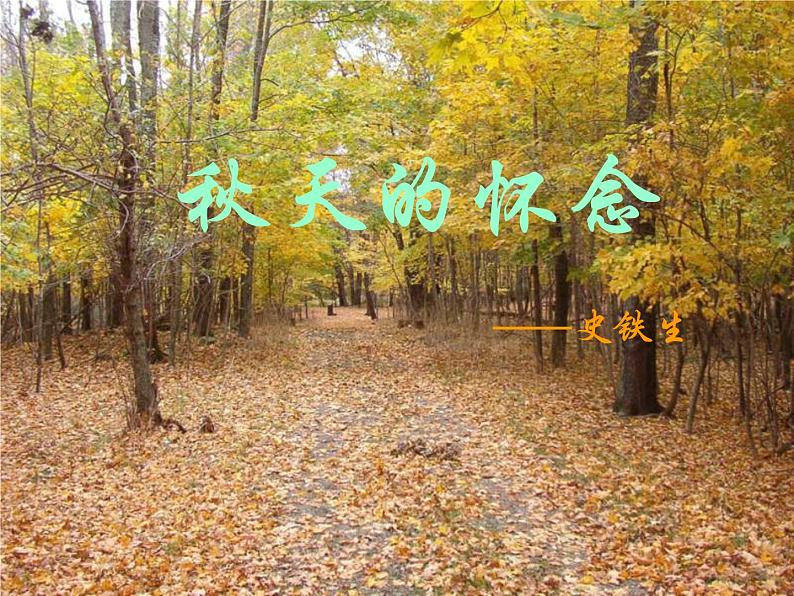 5 秋天的怀念-2021-2022学年七年级语文上学期精编“讲义+课件”（课件）01