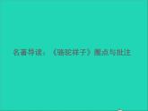 2022春七年级语文下册第三单元名著导读骆驼祥子点与批注习题课件新人教版