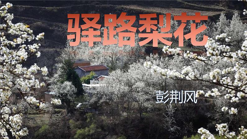 第15课《驿路梨花》课件 2021-2022学年部编版语文七年级下册第2页